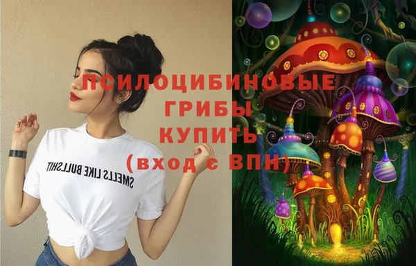 ешки Новокубанск