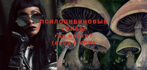 ешки Новокубанск